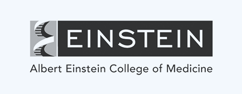 einstein college logo